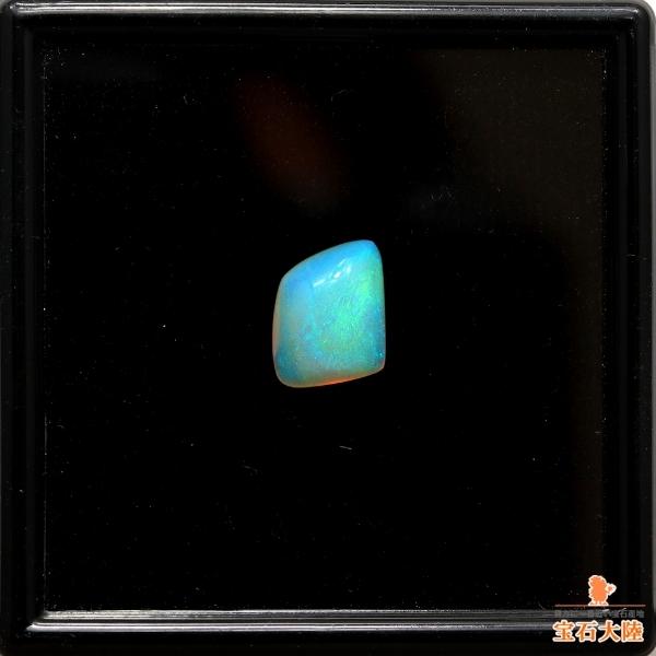 【実物美品】東ドイツ ライト オリーブグリーン GREEN ROOM】 Foxxy 2017Champion Edition STEEL 鈴木未来モデル