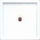 天然ブラックオパール　0.34ct　【ローリング遊色】 レッド
