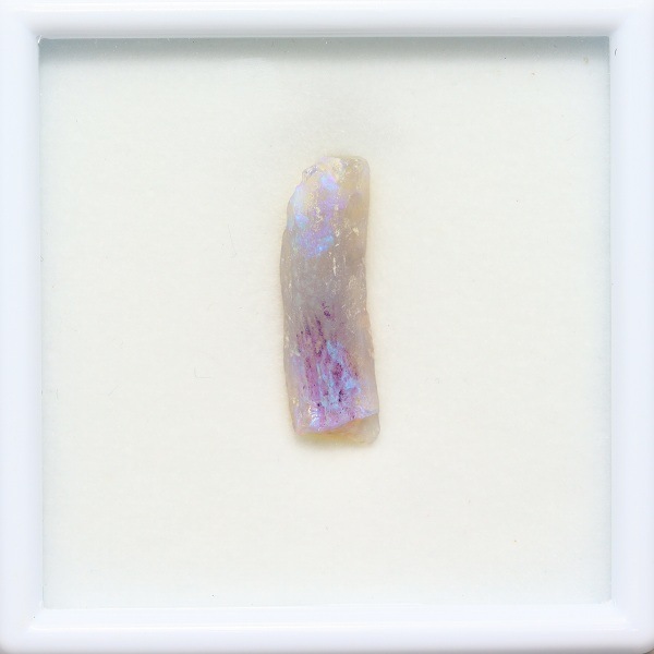 天然オパール 4.27ct 【木化石】 ラフ