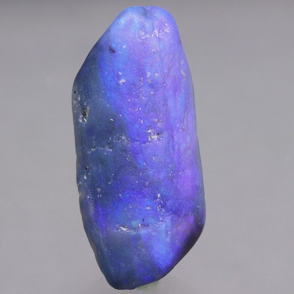 天然ブラックオパール 4.56ct 【木化石】 ラフ