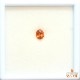 天然スペサルティンガーネット 0.81ct 【濃色オレンジ】