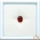 天然スペサルティンガーネット 1.94ct 【レッドスペサ】
