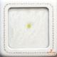 天然ダイヤモンド 0.255ct 【 FANCY INTENSE YELLOW GREEN VS1 】 中宝ソ付