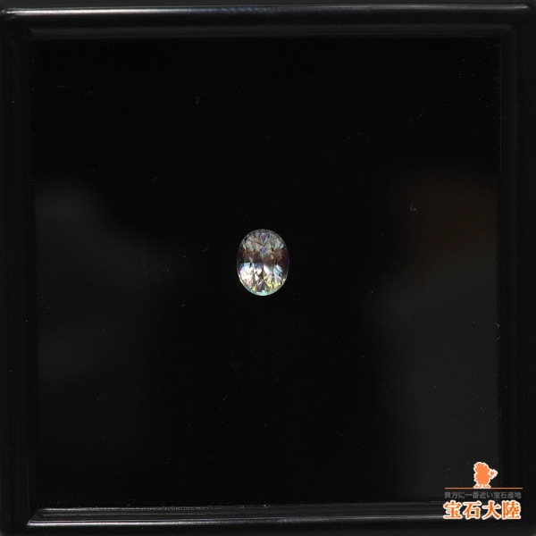 ラスカル 95年 ZEXELスカイライン｜都平 健二 オフィシャルサイト