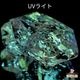 天然オイルインクォーツ 21.63ct 【動く気泡】 ラフ パキスタン