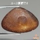 天然ボルダーオパール 9.05ct 【鮮烈ネオン遊色】　オーストラリア