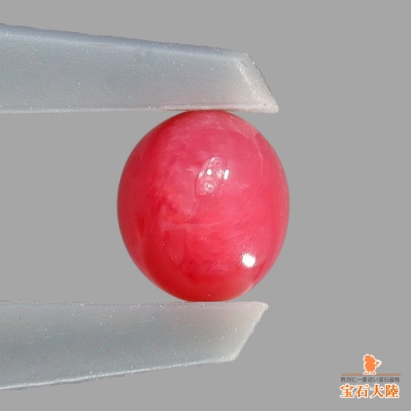 天然コンクパール 0.36ct 【カリブ海】 ピンキッシュレッド