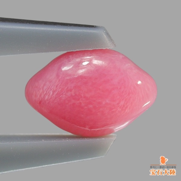 天然コンクパール 0.84ct 【カリブ海】 ピンク