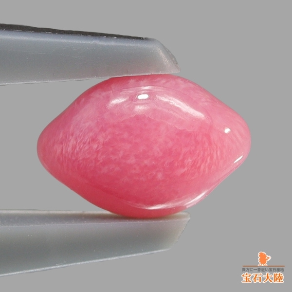 天然コンクパール 0.84ct 【カリブ海】 ピンク