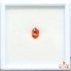 天然スペサルティンガーネット 1.01ct 【濃オレンジ】