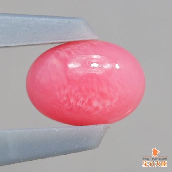 天然コンクパール 0.55ct 【カリブ海】 ピンク
