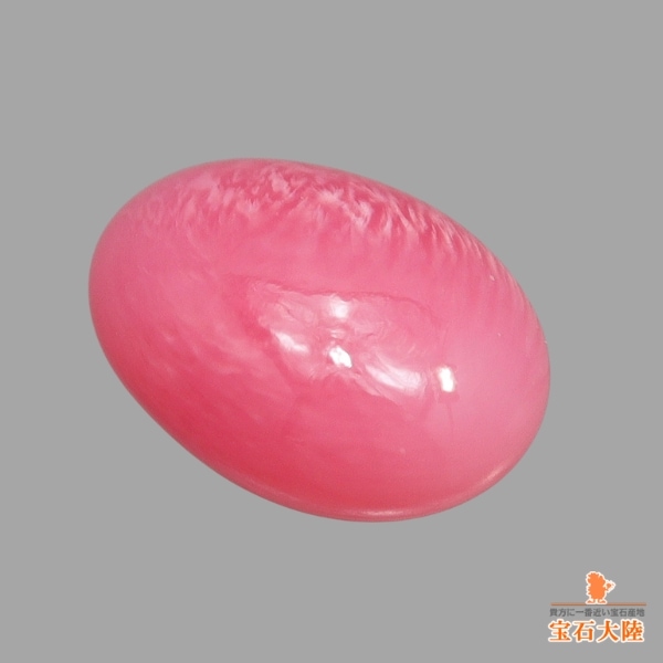 特大　コンクガイ　ピンク貝 (カリブ海産　大型　28cm) 特大コンク貝(パナマカリブ海産)ピンク貝