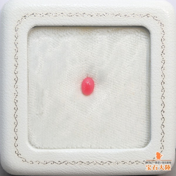 天然コンクパール 0.55ct 【カリブ海】 ピンク