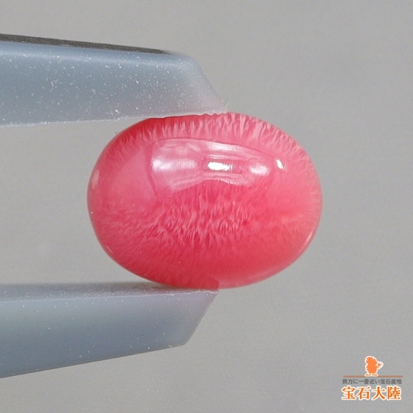 天然コンクパール 0.32ct 【カリブ海】 ピンク