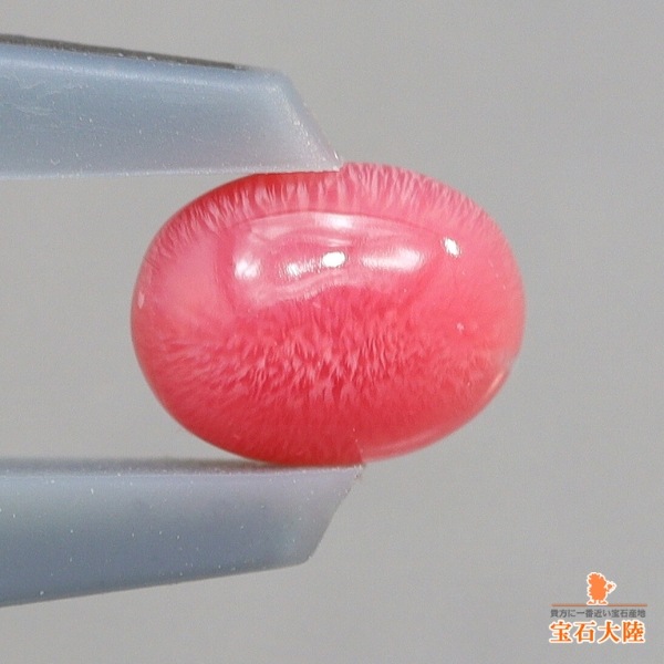 天然コンクパール 0.32ct 【カリブ海】 ピンク
