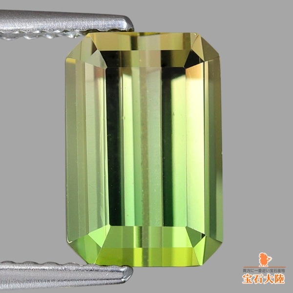 天然バイカラートルマリン 2.71ct【新緑茶色】美グラデーション ナイジェリア