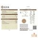 天然ダイヤモンド 0.50ct 【D IF TYPEⅡA】オーバル  GIA/中宝鑑定書付