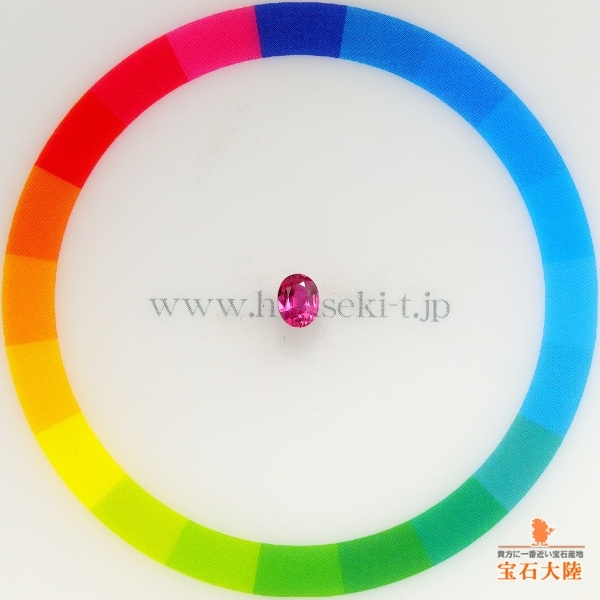 自然とのふれあい　ルビー ssp PSA10】自然とのふれあい ルビー SSP サイン 推しの子 b225