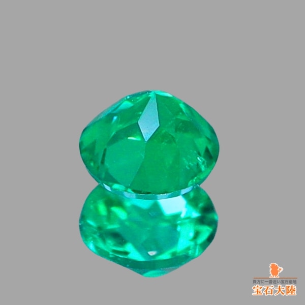 5_000000025443.jpg?1790845103