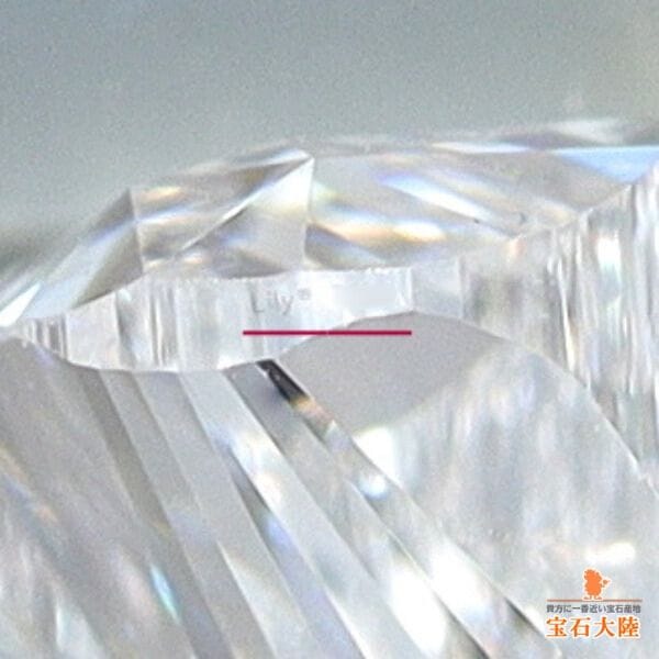 天然ダイヤモンド 1.05ct 【リリィカット】D VS1 GIA鑑定付　※オーダー限定