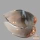 天然オレゴンサンストーン 2.64ct 【グリーンバイカラー】 ラブラドライト