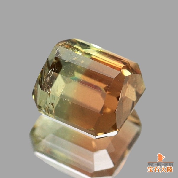 天然バイカラートルマリン 0.82ct 【美グラデーション】