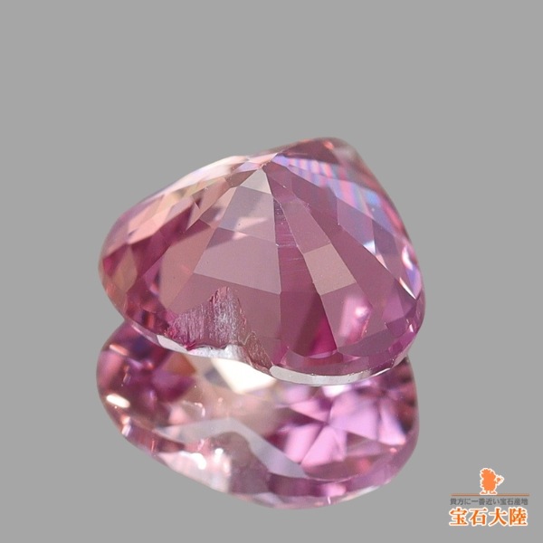 5_000000025452.jpg?1790921912