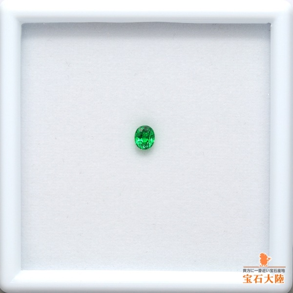 天然ツァボライトガーネット 0.29ct 【美発色】 タンザニア