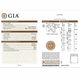 天然ダイヤモンド 0.513ct 【D FL 3EX TYPEⅡA】 GIA・中宝鑑定書
