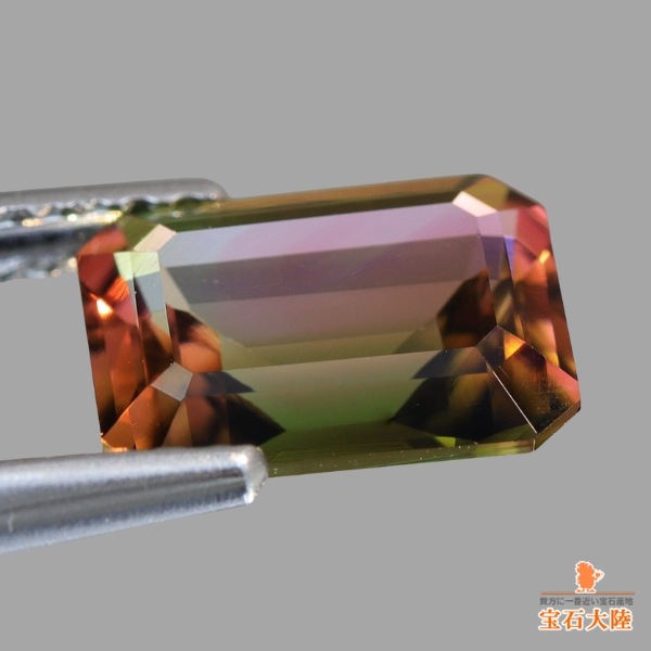 天然トルマリン 1.73ct【シックなバイカラー】ナイジェリア