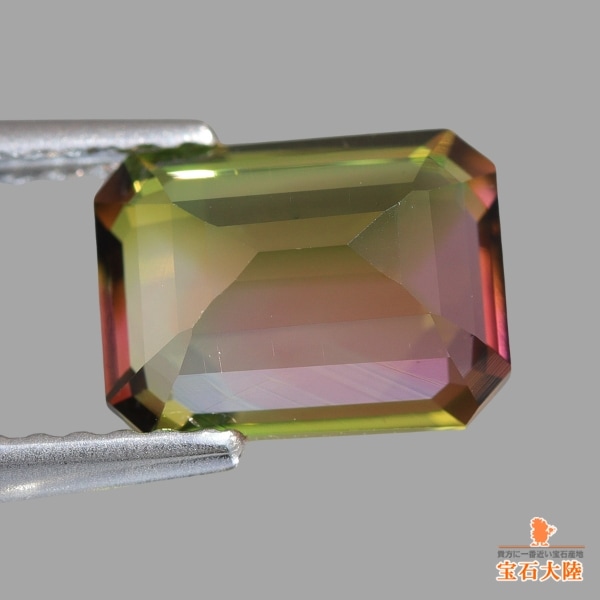天然トルマリン 1.73ct【シックなバイカラー】ナイジェリア