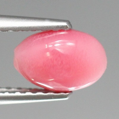 天然コンクパール 1.33ct 【カリブ海】 ピンク