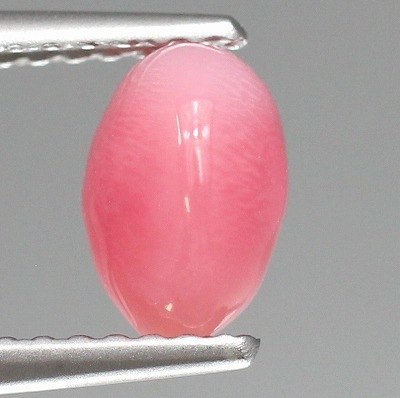 天然コンクパール 1.33ct 【カリブ海】 ピンク