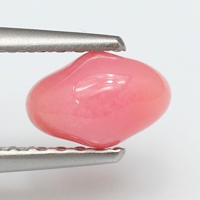 売り切り価格薄ピンクコンクパール 約1cm 売り切り価格薄ピンクコンクパール 約1cm
