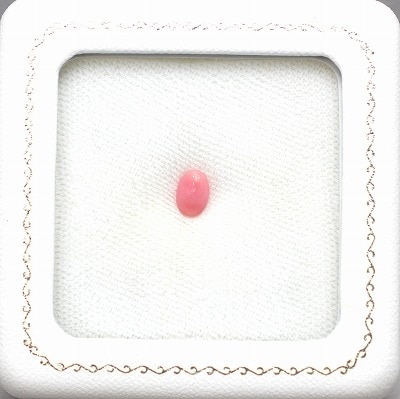 天然コンクパール 0.90ct 【カリブ海】 ピンク