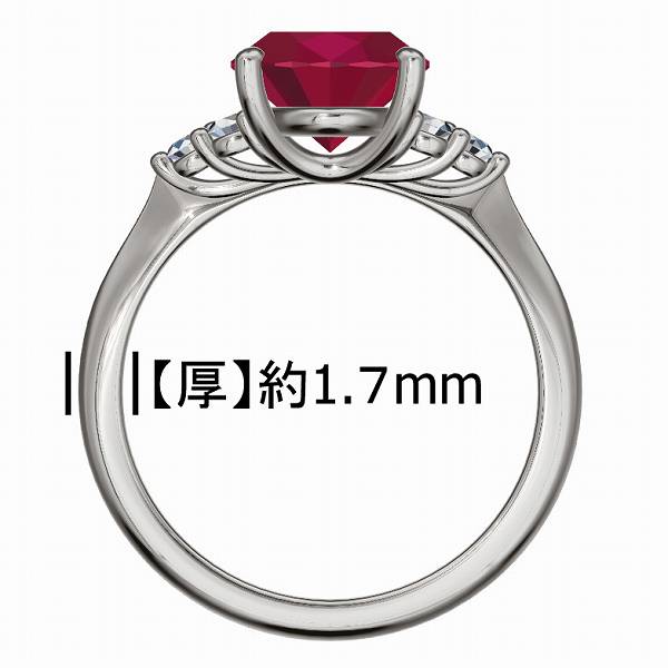 13_000000018373.jpg?1784618849