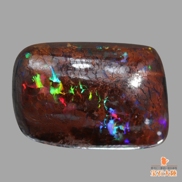 2_000000022879.jpg?1733295504