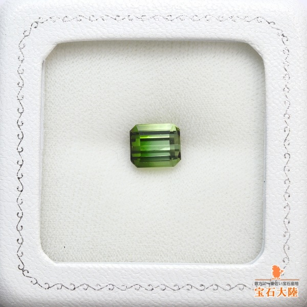 天然バイカラートルマリン 3.55ct 【グリーンティーカラー】アフガニスタン