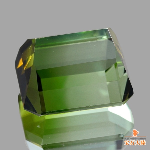 天然バイカラートルマリン 3.55ct 【グリーンティーカラー】アフガニスタン