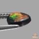 天然ブラックオパール 0.54ct 【赤斑】 黒生地 ライトニングリッジ