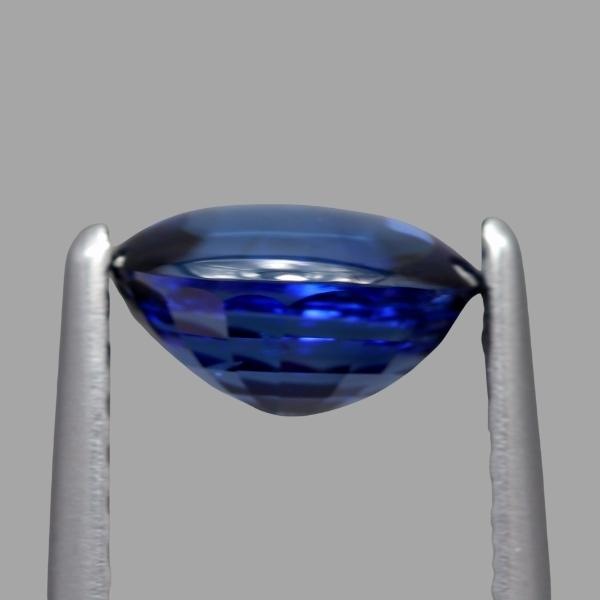 PSA10 トップサン セット売り カブト ルージュラ 青裏 ブルー 全12色】ブルーブルー ガチポップ60 BLUE BLUE GACHIPOP