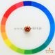 天然スファレライト 0.92ct 【煌めくオレンジ】 スペイン