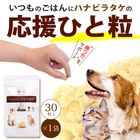 �ڥåȤΥϥʥӥ饿��