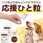 ����Ź���ǰ��͡�5��OFF�ۥڥåȤΥϥʥӥ饿��2�ĥ��åȡڥ᡼��������̵����