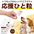 ����Ź���ǰ��͡�15��OFF�ۥڥåȤΥϥʥӥ饿��3�ĥ��åȡڥ᡼��������̵����