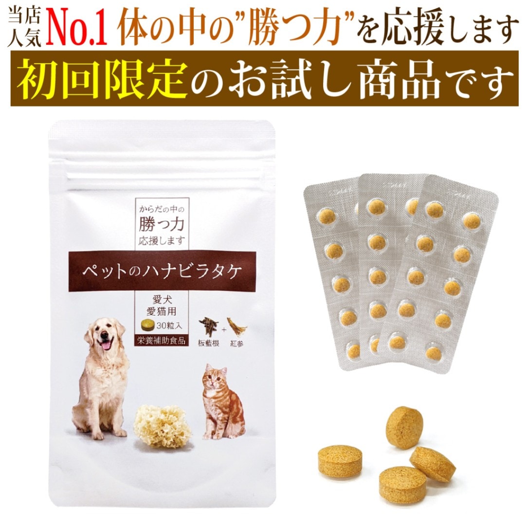 お試し】ペットのハナビラタケ(初回限定/一世帯一回限りとなり お試し】ペットのハナビラタケ(初回限定/一世帯一回限りとなり