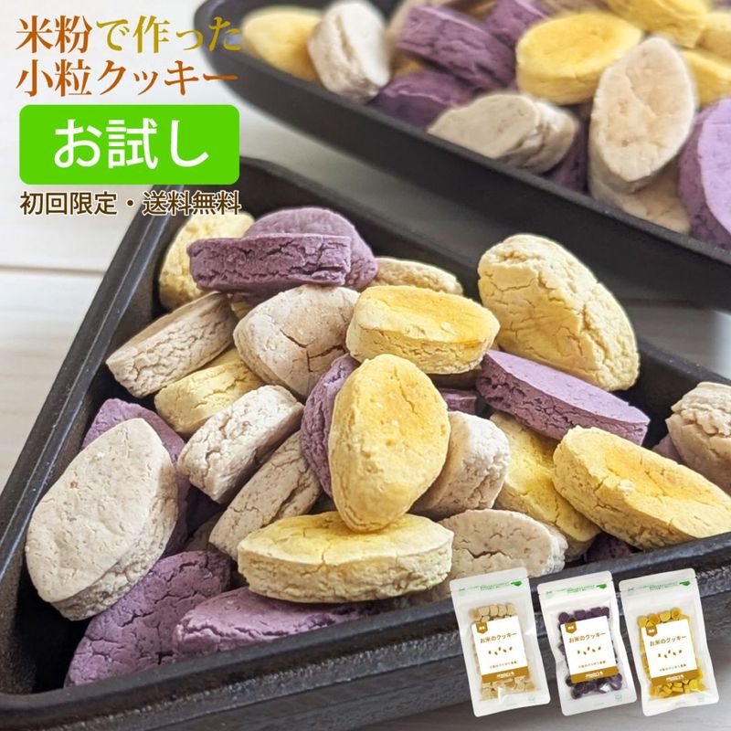 ڤۤƤΥå503ĥåȡʽ/Ӱ¤Ȥʤޤ