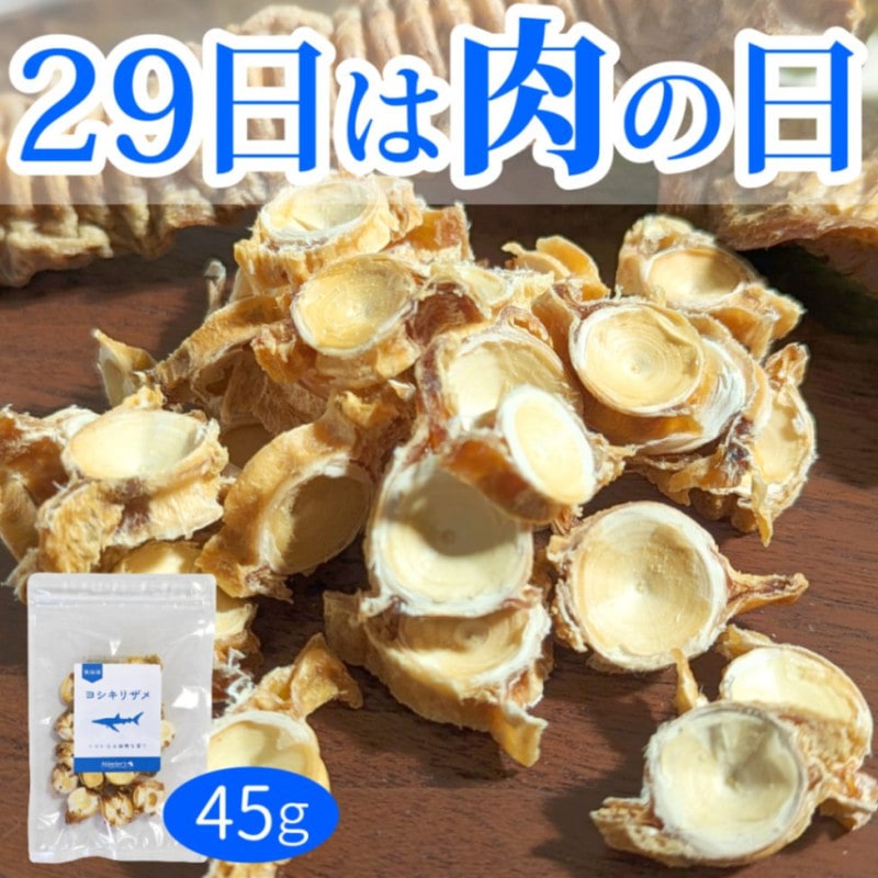 15󥪥ա»֥å45