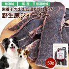 ð�����������㡼������50���