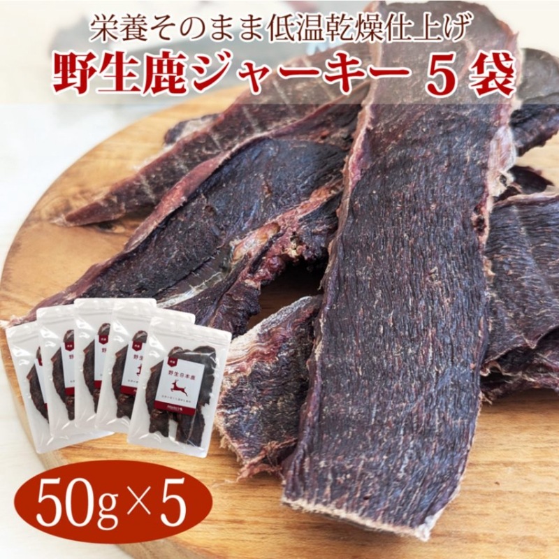 ڤޤȤ㤤Ǥð㡼505ĤޤȤ㤤ʥ᡼̵